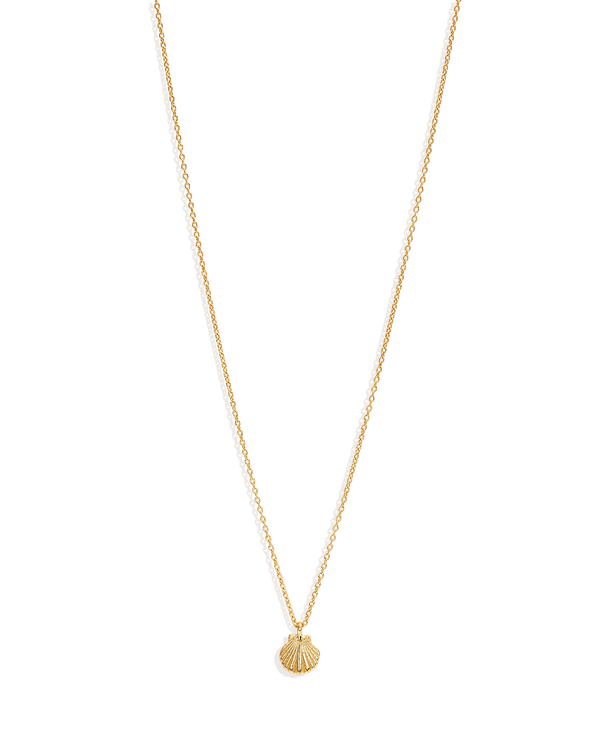 Gold By the Shore Shell Necklace