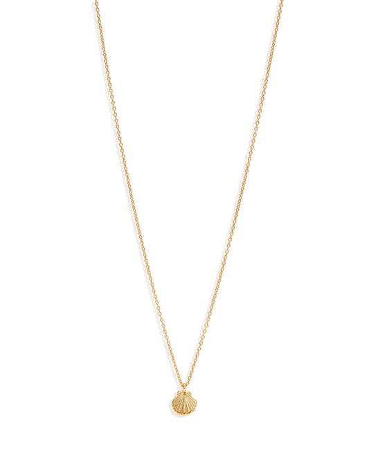 Gold By the Shore Shell Necklace